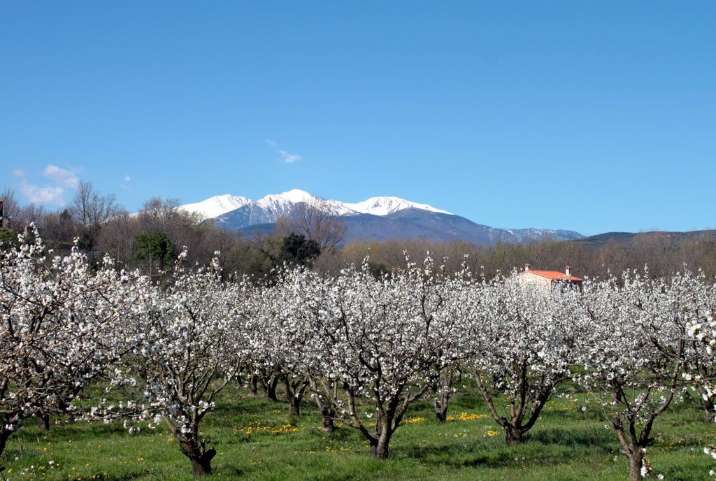 Appartamento Ta Maria Céret Esterno foto